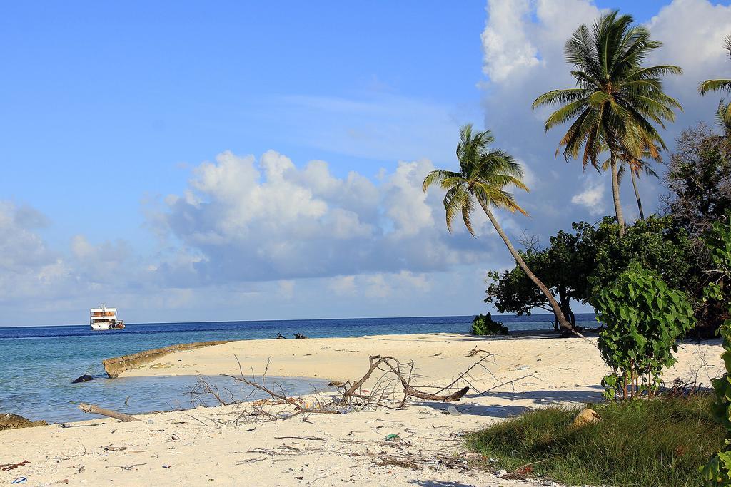 Tropic Tree Maldives Hotel Gulhi Esterno foto